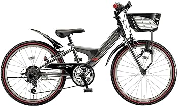 Amazon.co.jp: ブリヂストン BRIDGESTONE エクスプレスジュニア